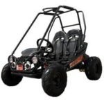 Trailmaster Mini XRX+ 2- Seater GO-KART EAGLE SERIES 163cc Blue - Image 7