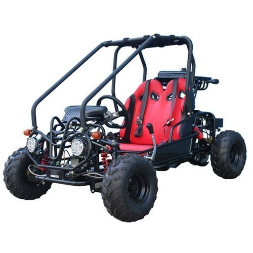 535-1-1.jpg Taotao GK110 Kids Gas Go Kart Dune Buggy - Image 1