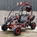 DongFang 125cc Kids Go Kart Type-GTS - Image 2