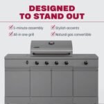 TYTUS Fresno Series 5 Burner Grill TDT-021 - Image 7