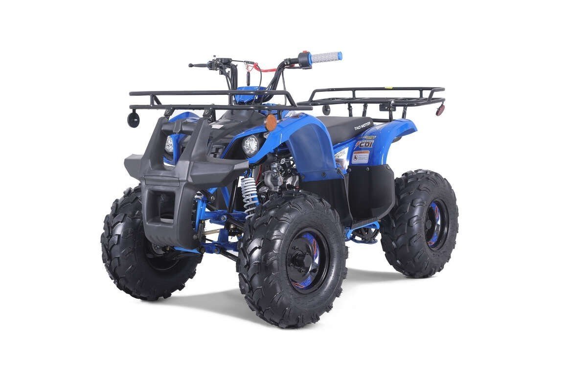 838-1.jpg TaoTao T-Force T125 4-Wheeler All-Terrain Vehicle ATV - Image 1