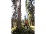 STIHL MS 462 C-M 28 72.2cc 28" 13 Lbs Fuel-Efficient Gas-Powered M-Tronic C-M Chainsaw w/Bar & Chain - Image 6